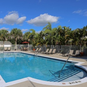 Shimmering resort-style pool a pool with a deck and trees in the background